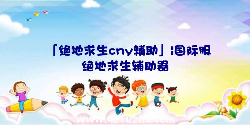 「绝地求生cny辅助」|国际服绝地求生辅助器